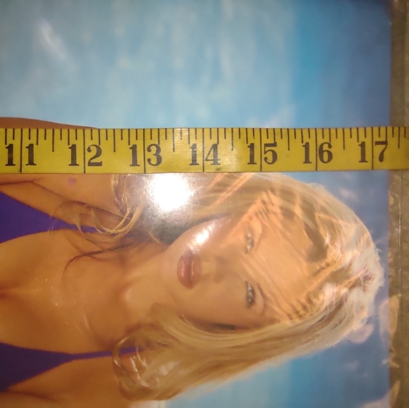 Hooter's Calendar new collectable - Picture 11 of 16